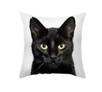 CEVAN Tissu Polyester Housse De Coussin Decoratif Taie d'oreiller Grande Taille Le Chat Housse Coussinexterieur Taie d'oreiller pour Canapé Noir 40x40cm, 1Pcs