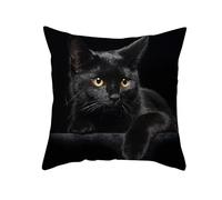 CEVAN Tissu Polyester Housse De Coussin Home Taie d'oreiller Grande Taille Le Chat Housse De Coussin Salon Intérieur Taie d'oreiller Canapé Noir 45x45cm, 1Pcs