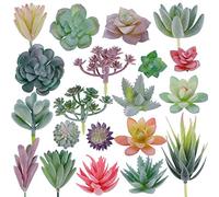CEWOR Lot de 20 mini plantes succulentes artificielles floquées - Décoration de qualité supérieure pour bricolage, bricolage, maison, mur, jardin, décoration de bureau (sans pot)