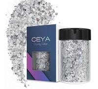 Ceya Paillettes Épaisses, 140g/ 4.9oz Poudre de Paillettes Argentées Brillantes Mélangées à Paillettes Fines Iridescentes pour Nail Art, Cheveux, Résine Époxy, Gobelets, Slime, Peinture, Décor de