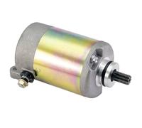 CF250 CH250 Starter Motor 250-5014 for Jonway JMstar CFmoto Scooter Motorcycle ATV 172mm Engine