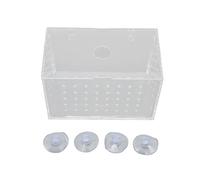 CFTGIW Boîte d'élevage de Poissons Incubateur d'écloserie en Acrylique Haute Transparence avec Ventouses pour Poissons Crevettes Clowns 11x7x8cm / 4 3x2 8x3 1in et Obse Transparent Fish Breeder