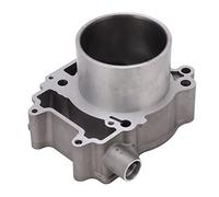 CFTGIW Joint à l'extrémité Supérieure du Piston Cylindre 3022860 Diamètre 99 Mm de 109 Mm 10.2: 1 Cylindre Remplacement du Kit de Reconstruction pour Ace Sportsman 570