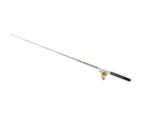 CFTGIW Kit combiné de Moulinet de Canne à Pêche, Mini Stylo de Poche Télescopique Portable, Canne à Pêche + Moulinet, Accessoires de en Alliage d'aluminium, Longueur Peu Pratique, équipement (Black)