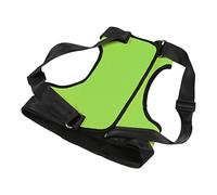 CFTGIW L'élingue pour Pattes Arrière Aide Les Chiens âgéS à mobilité Réduite Harnais de Levage pour Animaux de Compagnie âgéS et Malades Pattes Postérieures Orange La Taille S Est Résistante à La