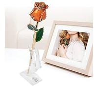 CFTGIW Les Roses sont Encapsulées dans Une Fleur de Rose Dorée 24k Brillant O avec l'anniversaire de la Saint-Valentin de Base Assure la Fleur de la Rose éternelle éternelle de la beauté en résine.
