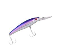 CFTGIW Leurre de Pêche à Lancer Ultra Long 20 Cm en Eau Salée Coulant Appât de Pêche au Vairon Matériel de 2 Crochets Gros Hameçons d'Appât Dur pour Bar Leurres 3D Fendus et Tranchants ABS (Style 1)