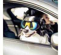 CFTGIW Lunettes de Soleil pour Chiens de Taille Moyenne et Grande, Accessoires de Protection des Yeux d'animaux de Compagnie, Lunettes de Soleil UV Visibles et Infrarouges pour Chiens, Décorations