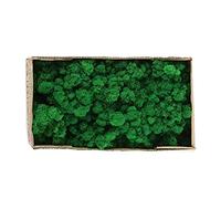 CFTGIW Mousse Décorative Préservée pour la Décoration de la Maison, Ne Se Décolore Pas, Idéale pour l'artisanat, le Modélisme, la Décoration de Pâques et de Noël, 0,5 Kg (Vert tendre / 500g)