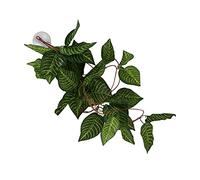 CFTGIW Reptile Simulation Plant Decorative Landscaping Faux Vine pour Reptile Rainforest Boxnff - 87 Small for and Decoration Tanks of Bo Plante Suspendue Falle Vinecliming Pet Box Green (#5)