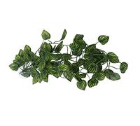 CFTGIW Reptile Simulation Plant Decorative Landscaping Faux Vine pour Reptile Rainforest Boxnff - 87 Small for and Decoration Tanks of Bo Plante Suspendue Falle Vinecliming Pet Box Green (#1)