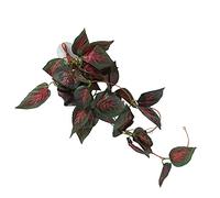 CFTGIW Reptile Simulation Plant Decorative Landscaping Faux Vine pour Reptile Rainforest Boxnff - 87 Small for and Decoration Tanks of Bo Plante Suspendue Falle Vinecliming Pet Box Green (#6)