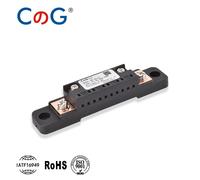 CG FL-2C Shunt 10A 20A 30A 50A 100A 150A 200A 300A 400A 500A 600A 75mV DC Haute Précision avec Base, Résistance de Déviation de Courant pour Ampèremètre