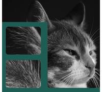 Cgr-731 Cgr731 Compatible Cartouche De Toner Avec Puce Pour Canon I-Sensys Lbp7100Cn Lbp7110Cw Mf623Cn Mf628Cw Mf8230Cn Mf8280Cw (Bk:2400 Pages)