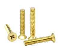 Cgshop-Vis à tête cylindrique M2 M3 M4 M5 M6 M8 Cross Flat Head Brass Screws Copper Machine Screws， Fixer pour éviter le desserrage(14mm,M5 20pcs)