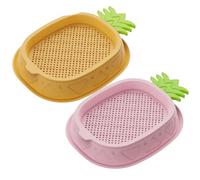 CGTQROVR Lot de 2 graines d'herbe à Chat pour Chats d'intérieur, boîte de Culture graines 'Herbe à Chat hydroponique sans Sol, boîte Culture ' Auto-plantante pour