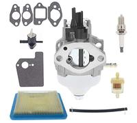 Chacarbtu Carburateur 16100-Z8B-901 pour moteurs Honda GCV160LA0 GCV160LA1 HRR216K10 HRR216K9 HRS216K5 HRS216K6 160 CC