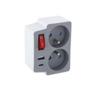 CHACON Biplite Domino 2X16A + 1xUSB-A + 1xUSB-C avec Interrupteur Gris/Blanc
