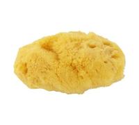 Chacott - Natural Sea Sponge 1 pc