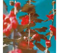 Chad Lawson Breathe (CD) Album
