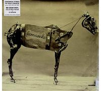Chadwick Stokes - Horse Comanche