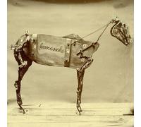 Chadwick Stokes - Horse Comanche