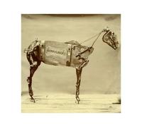 Chadwick Stokes - Horse Comanche [Import Allemand]
