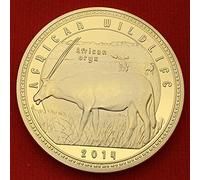 Chaenyu Pièce d'or Animal zèbre Africain pièce d'or éléphant zèbre médaille étrangère Copie Collection de pièces commémoratives