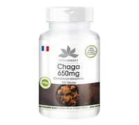 Chaga 650 mg - 100 gélules de poudre de champignons vitaux - Chaga ardoisé - hautement dosé - végétalien | Herba Direkt - Qualité des pharmacies allemandes