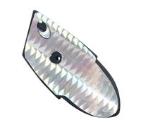 Chaies Appât en eau salée - Pour truite de mer - Robuste - Pour débutants, papa, côte, lac, truite, mer, extérieur, aventure, bassin, saumon, rivière, étang, eau