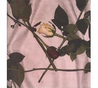 Chain of Flowers – Cadwyn O Flodau – Vinyle transparent – Édition importée