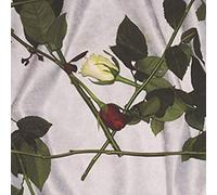 Alter – Chain of Flowers – Import