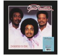 Chain Reaction - Indebted To You [Vinyl]