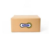 Afam 525xsr2-g Chain Doré 120 Links