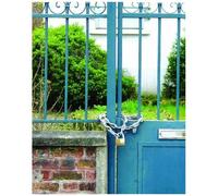 Master Lock 8018EURD Chaîne en acier cémenté, 200 cm x 0,8 cm