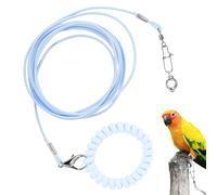 Chaîne de Pied d'oiseau, Corde d'entraînement pour Perroquet, Corde d'entraînement pour perroquets et Oiseaux, légère pour Voler, Jouet Anti-Morsure pour Animaux de Compagnie, avec Anne