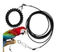 Chaîne de Pied d'oiseau, Corde d'entraînement pour Perroquet, Corde d'entraînement pour perroquets et Oiseaux, légère pour Voler, Jouet Anti-Morsure pour Animaux de Compagnie, avec Anne