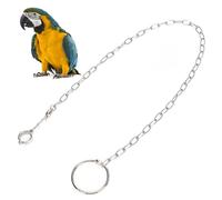 Chaîne De Pied Fendue En Acier Inoxydable Pour Grands Perroquets, laisse de harnais d'oiseau, Anneau De Cheville D'entraînement Pour Animaux De Compagnie, Pour Oiseaux, Perroquets, Gris D'Afrique