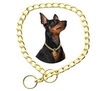 Chaîne étrangleur pour Chiens, Collier Ras du Cou en métal doré avec maillons coulissants pour Chiens de Race XXS XS XS M L Grande XL
