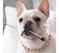Chaîne pour chien, accessoires de bijoux pour animaux de compagnie, collier en métal doré