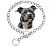 Chaîne pour chien en acier inoxydable 304 - Robuste - Argenté - Pour dressage - Chaîne martingale résistante à la mastication pour chiens de petite, moyenne et grande taille