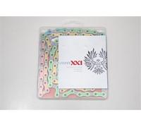 Chaine sram xx1 eagle pc1290 126 maillons rainbow