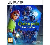 Chair de Poule Terreur à Little Creek - Jeu PS5