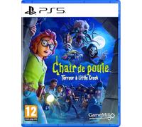 Chair de Poule : Terreur à Little Creek Playstation 5
