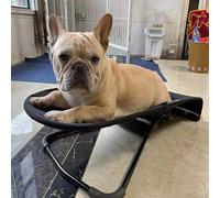 Chaise à Bascule pour Chien, hamac Portable pour Animaux de Compagnie, lit pour Petit Chien, lit pour Chat surélevé Portable, Chaise hamac pour Chiens de Taille Moyenne et Petite.