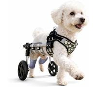 Chaise à roulettes légère pour chien, chariot pour animaux de compagnie réglable pour pattes arrière, chariot d'aide à la mobilité du chien avec roues pour chiots blessés