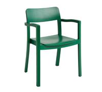 Chaise avec accoudoirs Pastis WxHxD 59.5x80x50cm