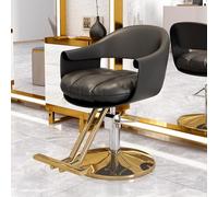Chaise de barbier hydraulique professionnelle avec pivot à 360° réglable pour salon et usage domestique Design Heavy Du Parfait pour les coiffeurs et les salons de coiffure