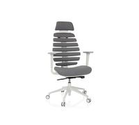 HJH Office Chaise de bureau ErgoLine W Pivotante Dossier ergonomique Appui-lordose inclus Gris foncé