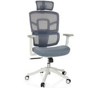MyBuero Siège de Travail Ergonomique ERGOMY I W Chaise de Bureau avec Appui-lordose Flexible, Appui-tête, accoudoirs, Dossier résille, Tissu Bleu